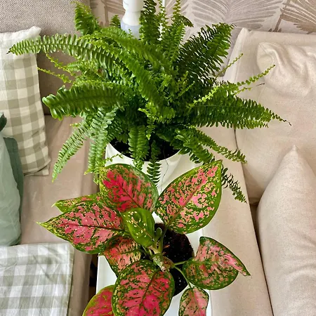 Coral Bay - Beachfront With Free Parking Varna