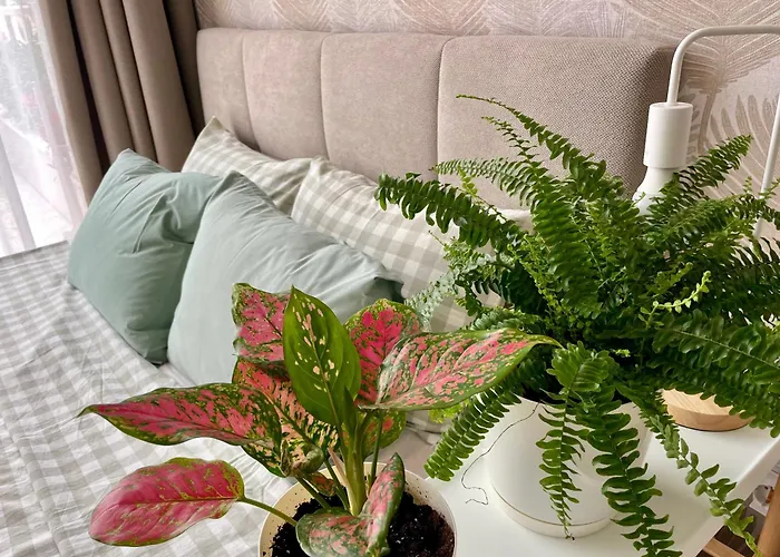 Coral Bay - Beachfront With Free Parking Appartamento Varna