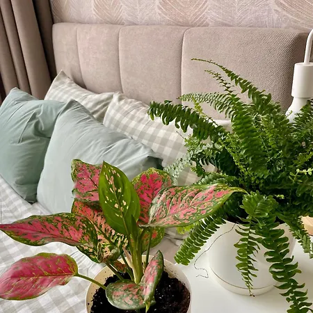 Coral Bay - Beachfront With Free Parking Daire Varna